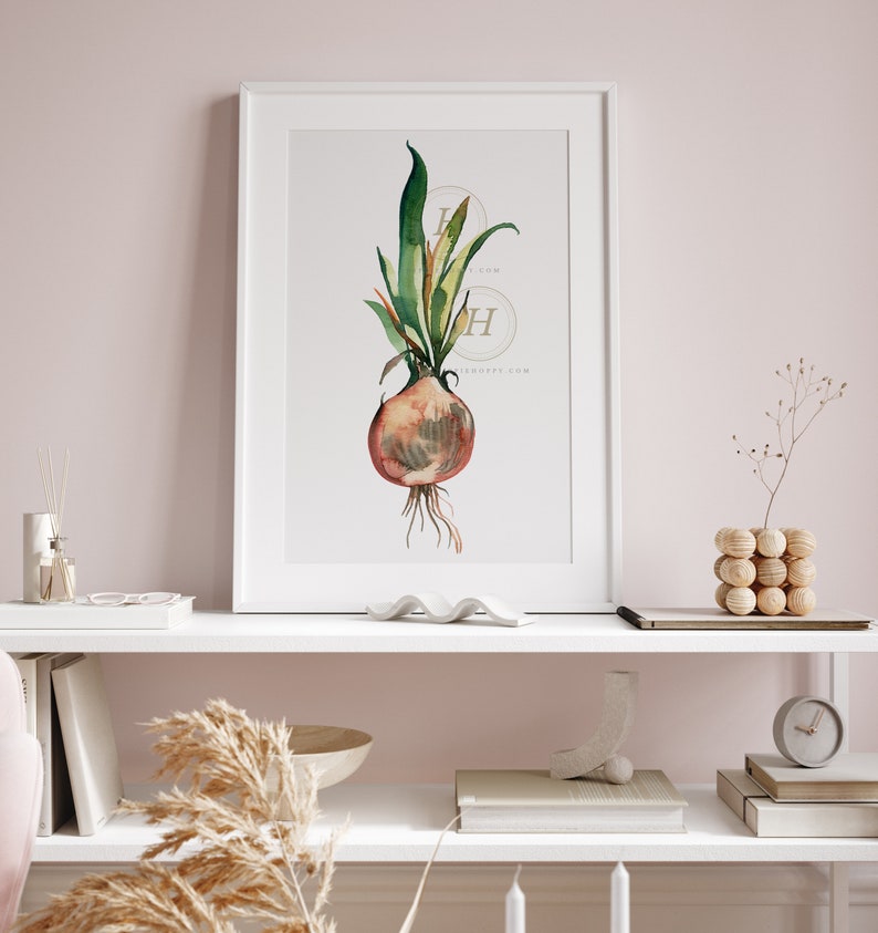 Stampa ad acquerello di cipolla, arte vegetale immagine 4