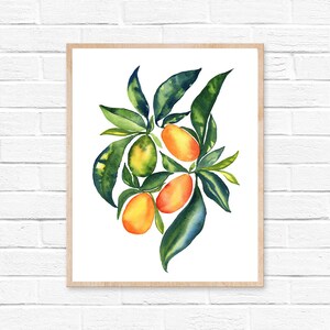 Kumquat Watercolor Print
