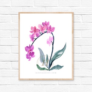 Orchid Watercolor Print