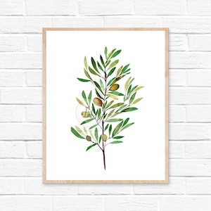 Olive Branch Watercolor Print