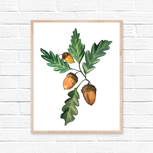 Watercolor Acorn Prints