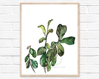 Art Print: Fiddle Leaf Fig by HippieHoppy, Unframed