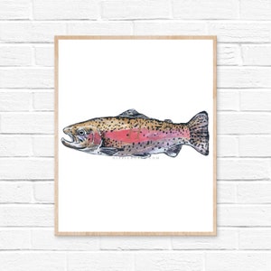 Regenboog Forel Aquarel Print