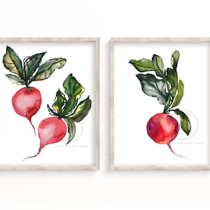 Radish Vegetables Watercolor Print set of 2