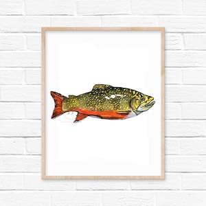 BROOK TROUT Watercolor by Crystal Cortez