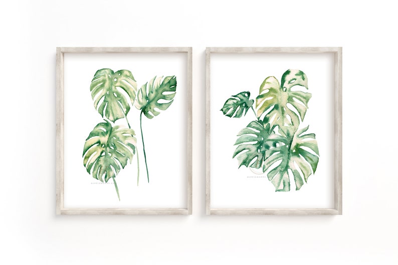 May include: Two framed watercolor paintings of green monstera leaves on a white background. The leaves are painted in shades of green and yellow.