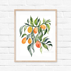 Kumquats Watercolor Print Wall Art
