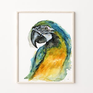 Parrot Print Tropical Bird Watercolor Wall Art Exotic Birds Parrot