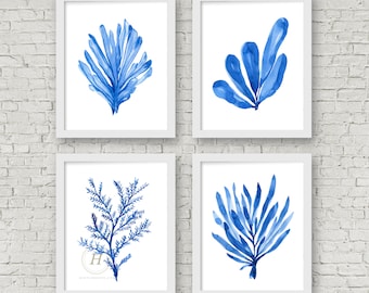 Coral azul láminas artísticas