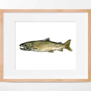 Bull Trout Watercolor Print Fishing Art
