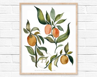 Kumquats, Watercolor Print, Modern Art by HippieHoppy