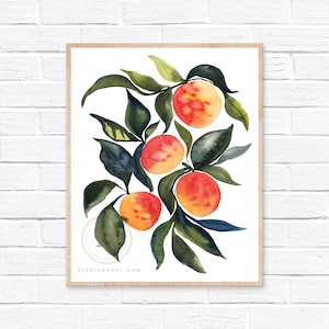 Apricots Watercolor Print