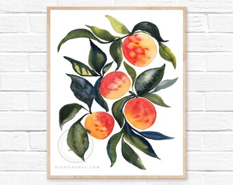 Apricots Watercolor Print