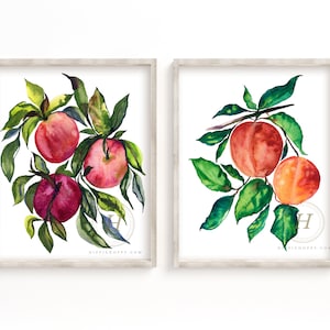 Set di stampa acquerello apples e pesche di 2