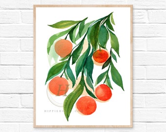 Orange fruit Watercolor Print