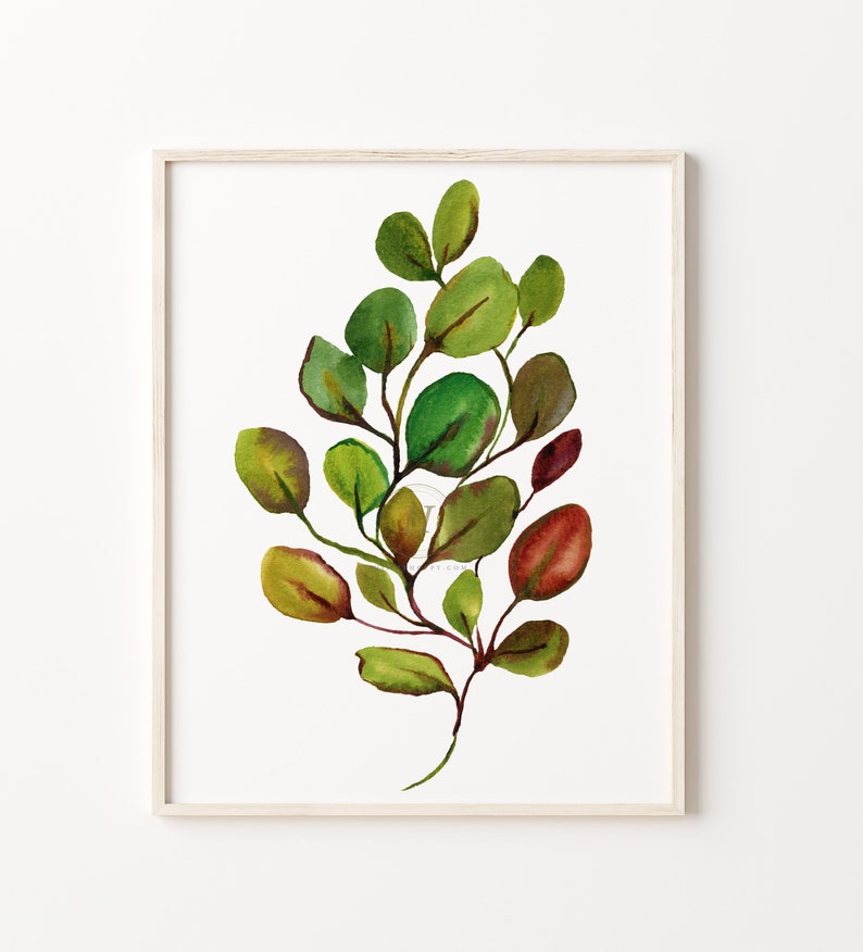 Botanical Print Eucalyptus Wall Art Leaf Print Botanical Etsy
