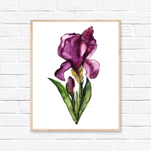 Flower Iris Print Watercolor Painting Wall Art