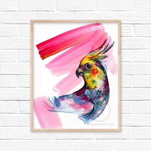 May include: A framed watercolour print featuring a vibrant cockatiel with a yellow crest, set against pink brushstrokes. The artwork is in a light wood frame. The print includes the text "HIPPIEHOPPY.COM".