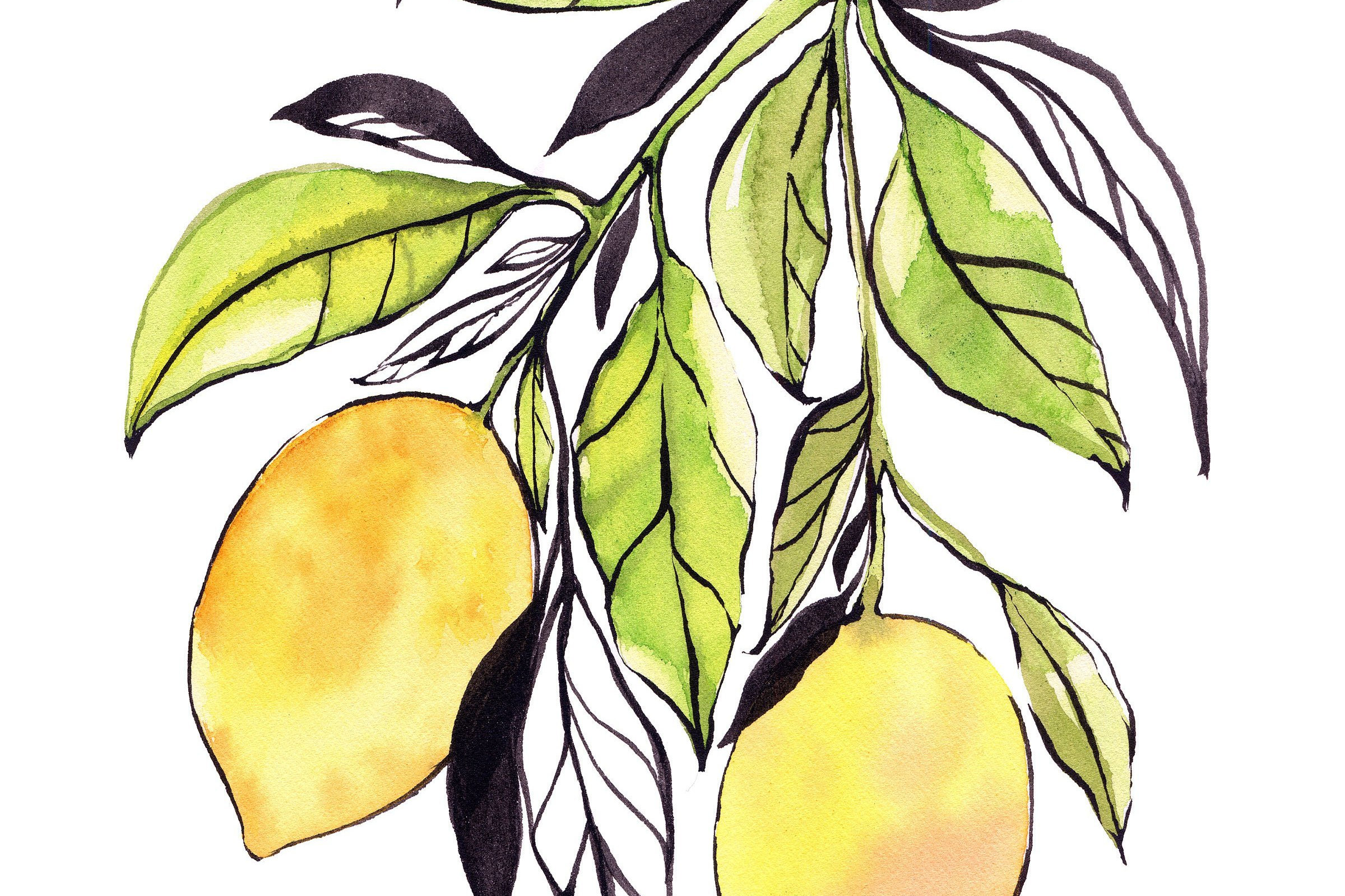 Lemon Watercolor Print Etsy
