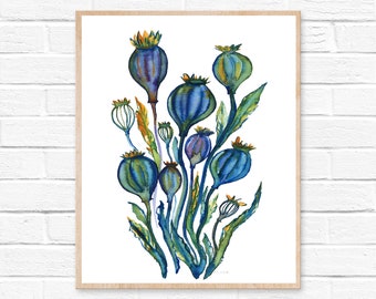 Poppy Seed Pods, Watercolor Print