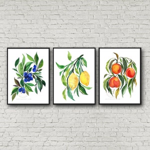 Blueberries Lemons Peaches Set of 3 Watercolor Prints