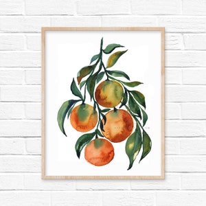 Watercolor Oranges Print