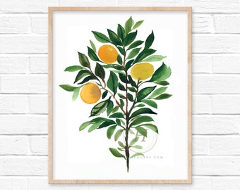 Könnte beinhalten: Aquarelldruck eines Zitronenbaumzweigs mit grünen Blättern und drei gelben Zitronen. Das Kunstwerk ist in einem hellen Holzrahmen gerahmt und vor einer weißen Backsteinmauer platziert. Botanisches Thema.