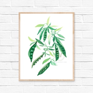Peas Watercolor Print