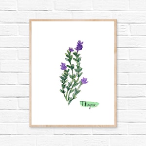 Watercolor Thyme Herb Print