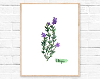 Watercolor Thyme Herb Print