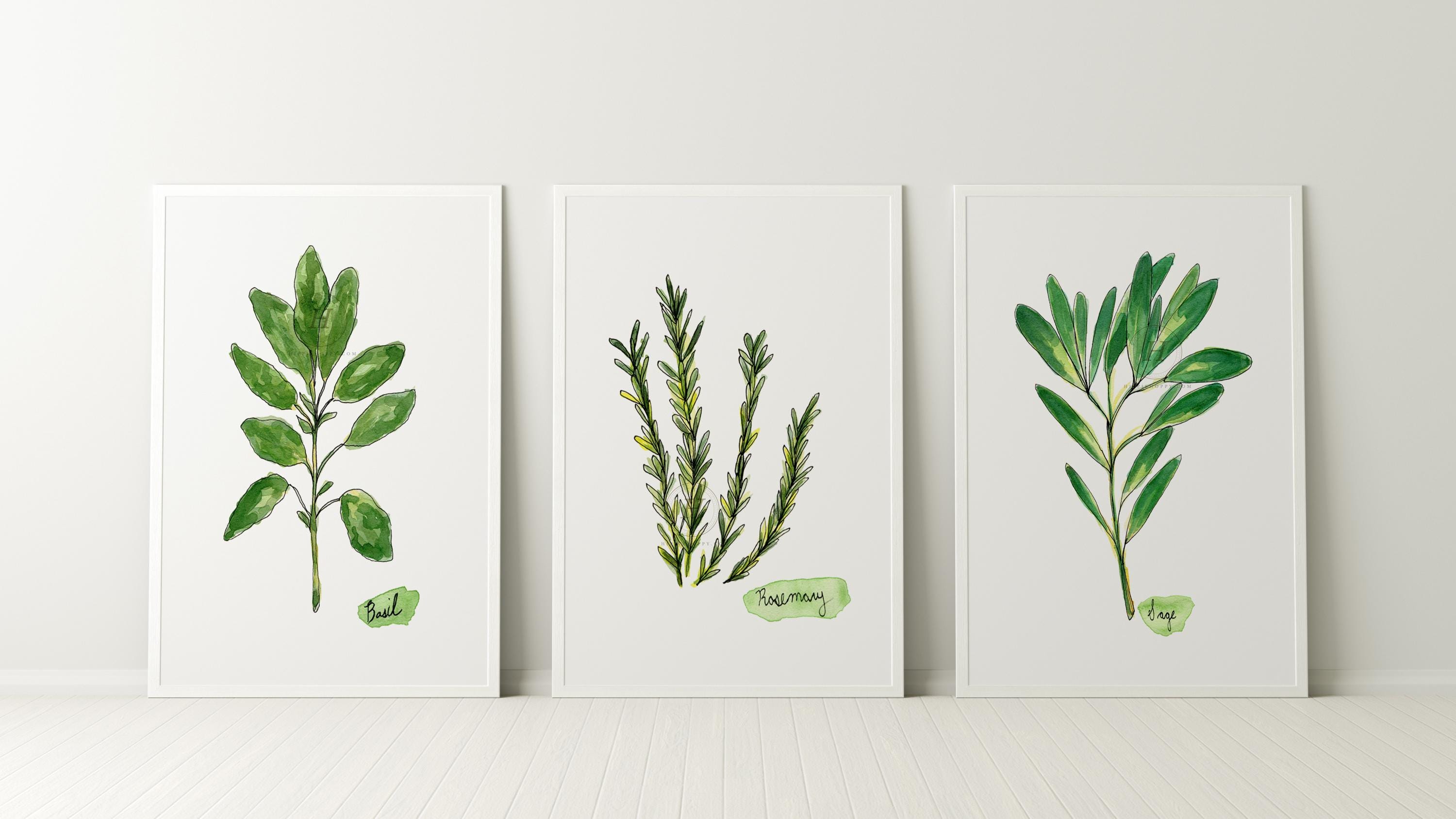 Set of 3 Herb Prints | Farmhouse Botanical Kitchen Wall Art - Etsy