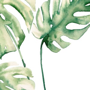 May include: Watercolor painting of three green monstera leaves on a white background.