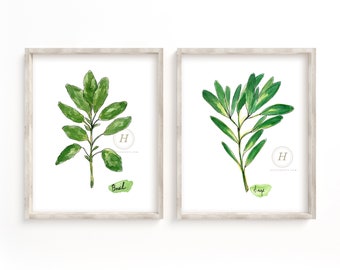 Herbs Basil and Sage Watercolor Print Set of 2