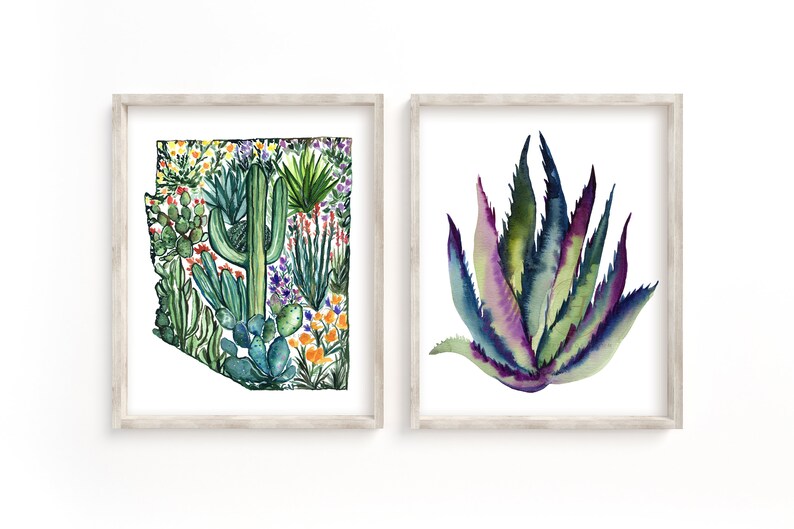 May include: Two framed watercolor paintings of desert plants. The first painting shows a cactus and other desert plants arranged in the shape of the state of Arizona. The second painting shows a single agave plant with green, purple, and blue leaves.