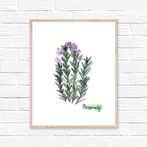 Watercolor Rosemary Print