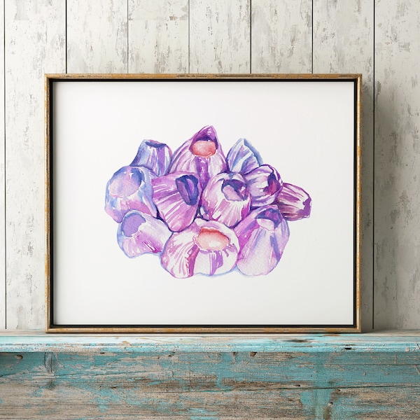 Barnacles Watercolor Print