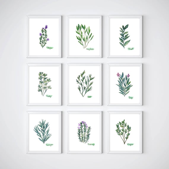 Herb Collection Set of 9 Prints | Etsy