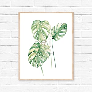 Monstera Plant Watercolor Print