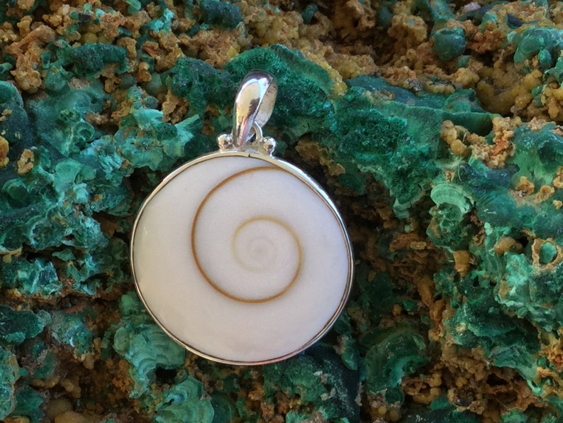 Eye of Shiva Sterling Silver Pendant Oracle for Flow of Life ~ Mermaids Money Shiva Shell
