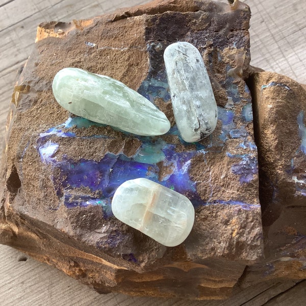 Australian Natural Green Kyanite 3 x Piece Parcel ~ Entia Valley, Harts Range, Northern Territory