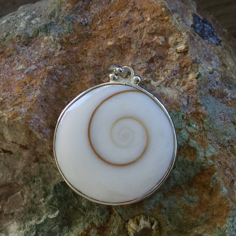 Eye of Shiva Sterling Silver Pendant Oracle for Flow of Life ~ Mermaids Money Shiva Shell
