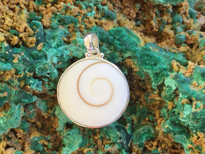 Eye of Shiva Sterling Silver Pendant Oracle for Flow of Life ~ Mermaids Money Shiva Shell