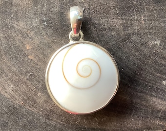 Shiva Shell, Eye of Shiva Sterling Silver Pendant ~ Mermaids Money, Cats Eye