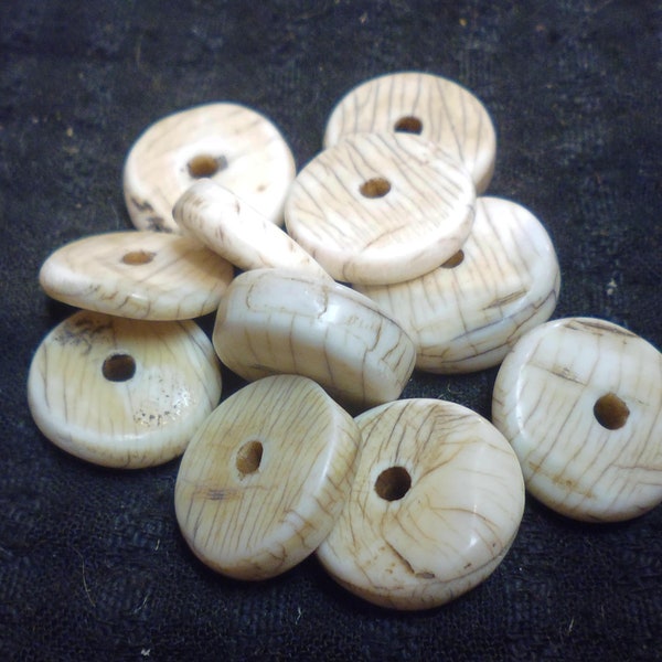 one Old Naga conch shell disc, 5x17mm