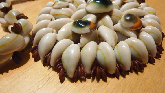 Cowrie and other shell with small brown seeds, ne… - image 2