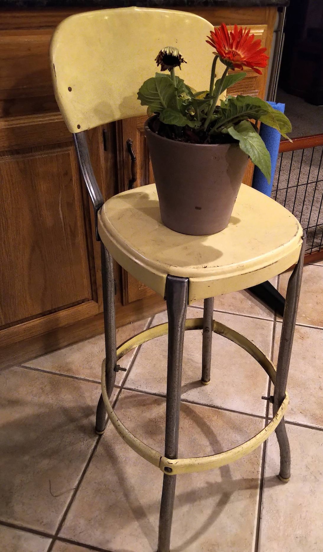 Metal Kitchen Chair, Vintage Lemon Yellow Metal Kitchen Chair, Plant