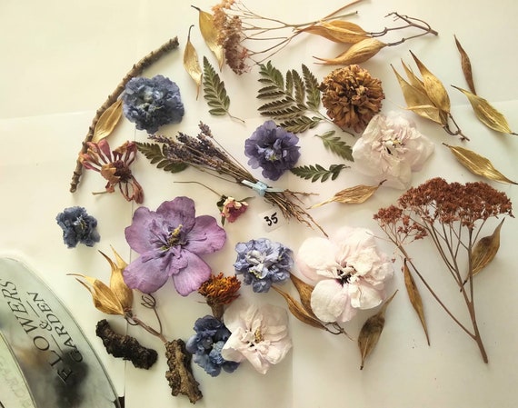 Dried Tiny Flowers for Resin 50ml Box, Dried Bulk Mini Flowers, Small  Assorted Flowers for Crafts -  Norway