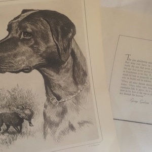 Vintage Palenske Lithograph, R H Palenske &quot;Black Labrador&quot; Lithograph with Poem by George Graham Vest, Collectible Art, Vtg Wall Art
