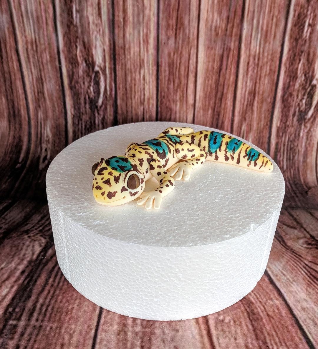 Lizard Pen  Lizards for Kids and More