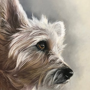 Custom Pet Portrait in Pastel, Realistic drawing from photo